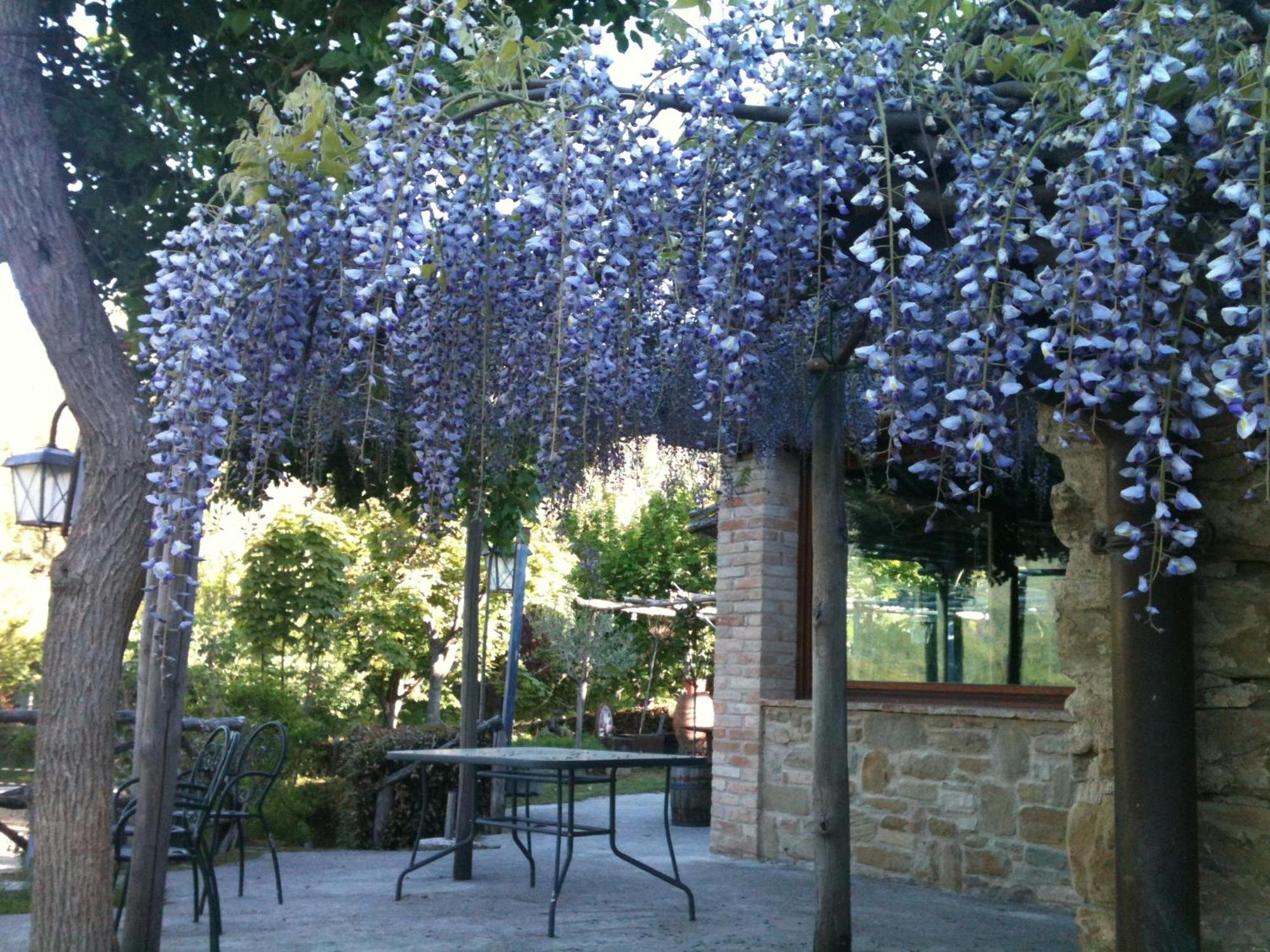 Hostal La Cittadella Dei Monti Sibillini Montemonaco Exterior foto