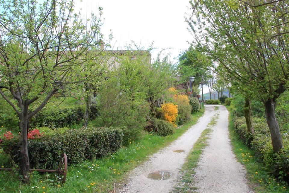 Hostal La Cittadella Dei Monti Sibillini Montemonaco Exterior foto